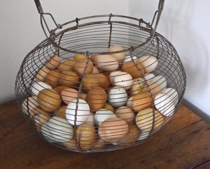 Gifts for Chicken Keepers HenCam