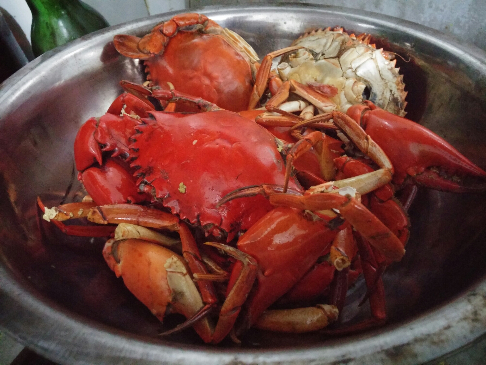 BAPAK MASAK Cara Memasak Kepiting Yang Enak