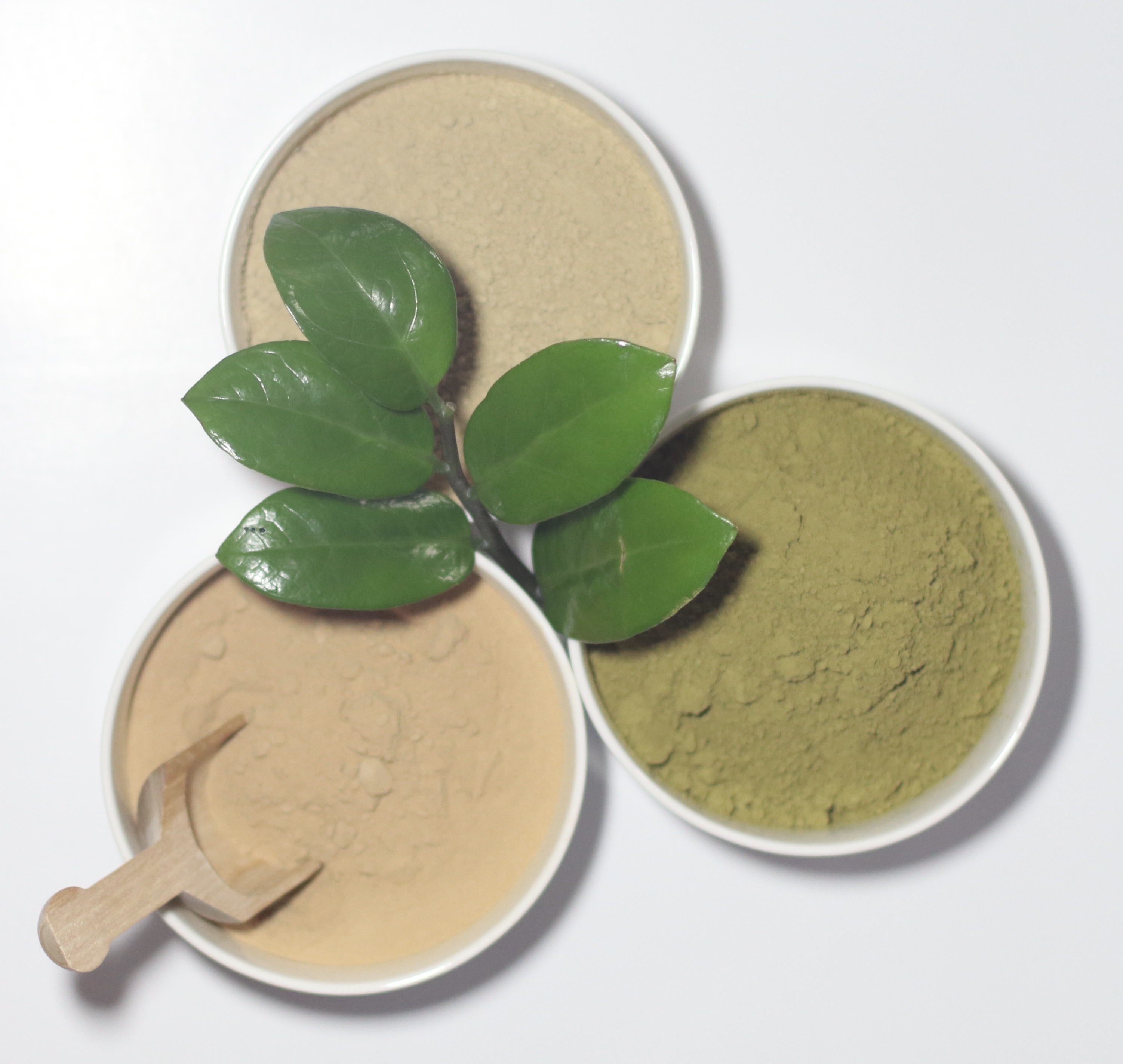 Henna + Amla + Aloe Vera Henna Blog Spot