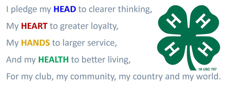 Service Learning Projects University of California 4-H.