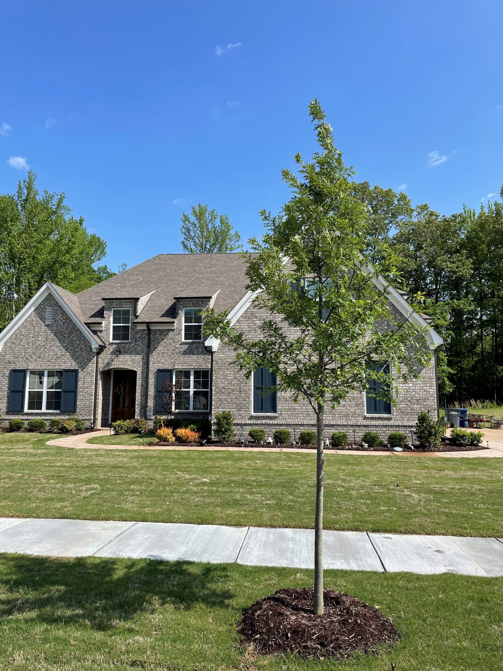 Monte Sano Henry Brick