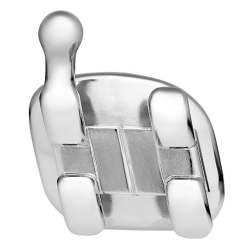 O271133310 NAOL 022 Maestro Roth Lower Anterior 1T 10 Henry