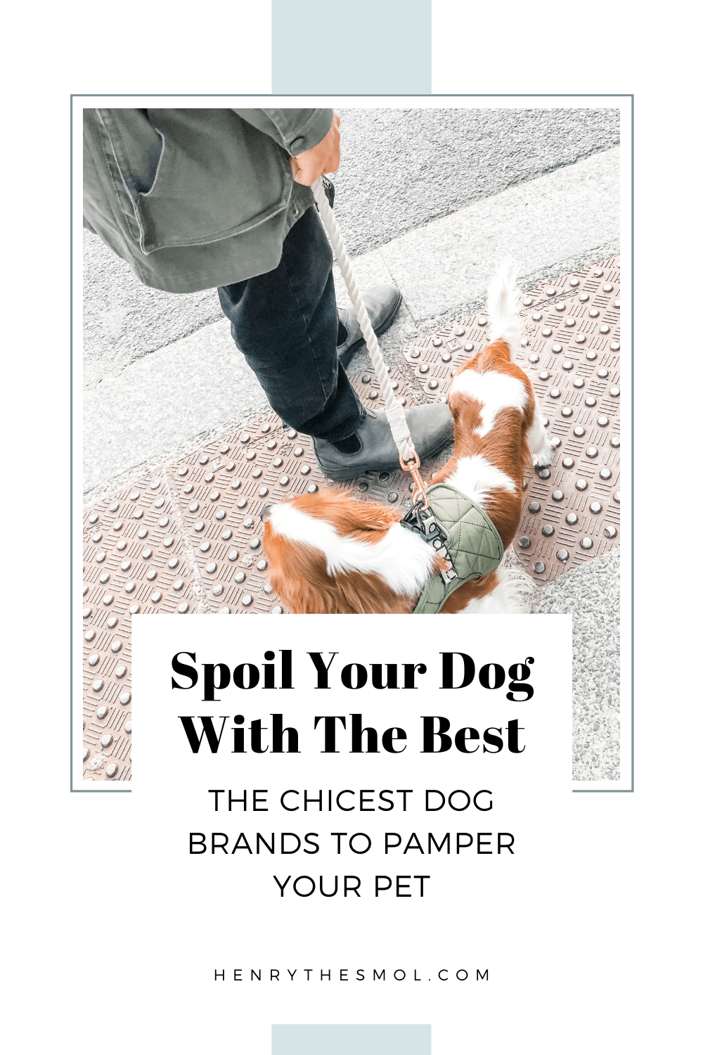 The Best Dog Brands for Stylish Dog Moms Henry The Smol