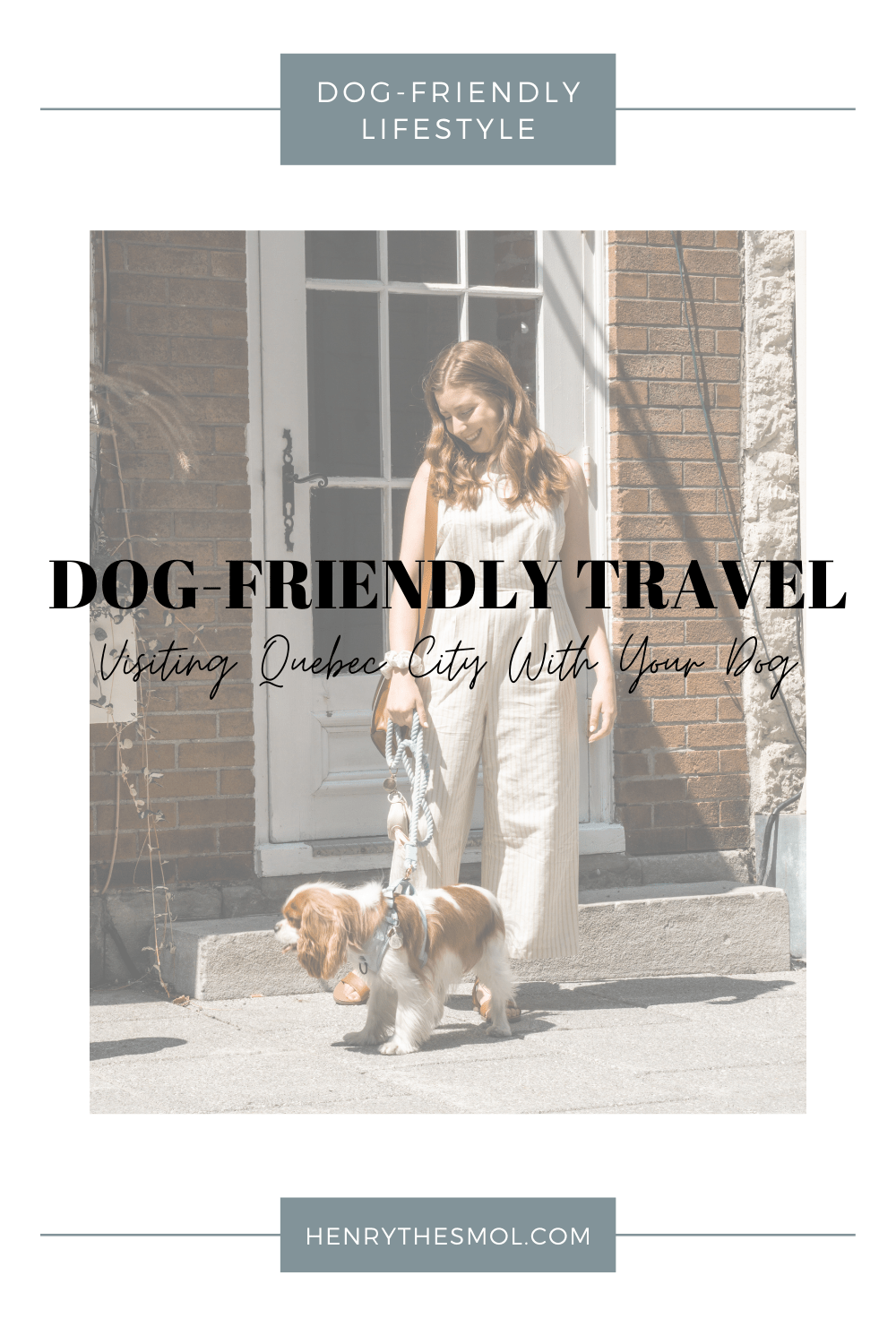 DogFriendly Quebec City Our Dog's First Road Trip Henry The Smol