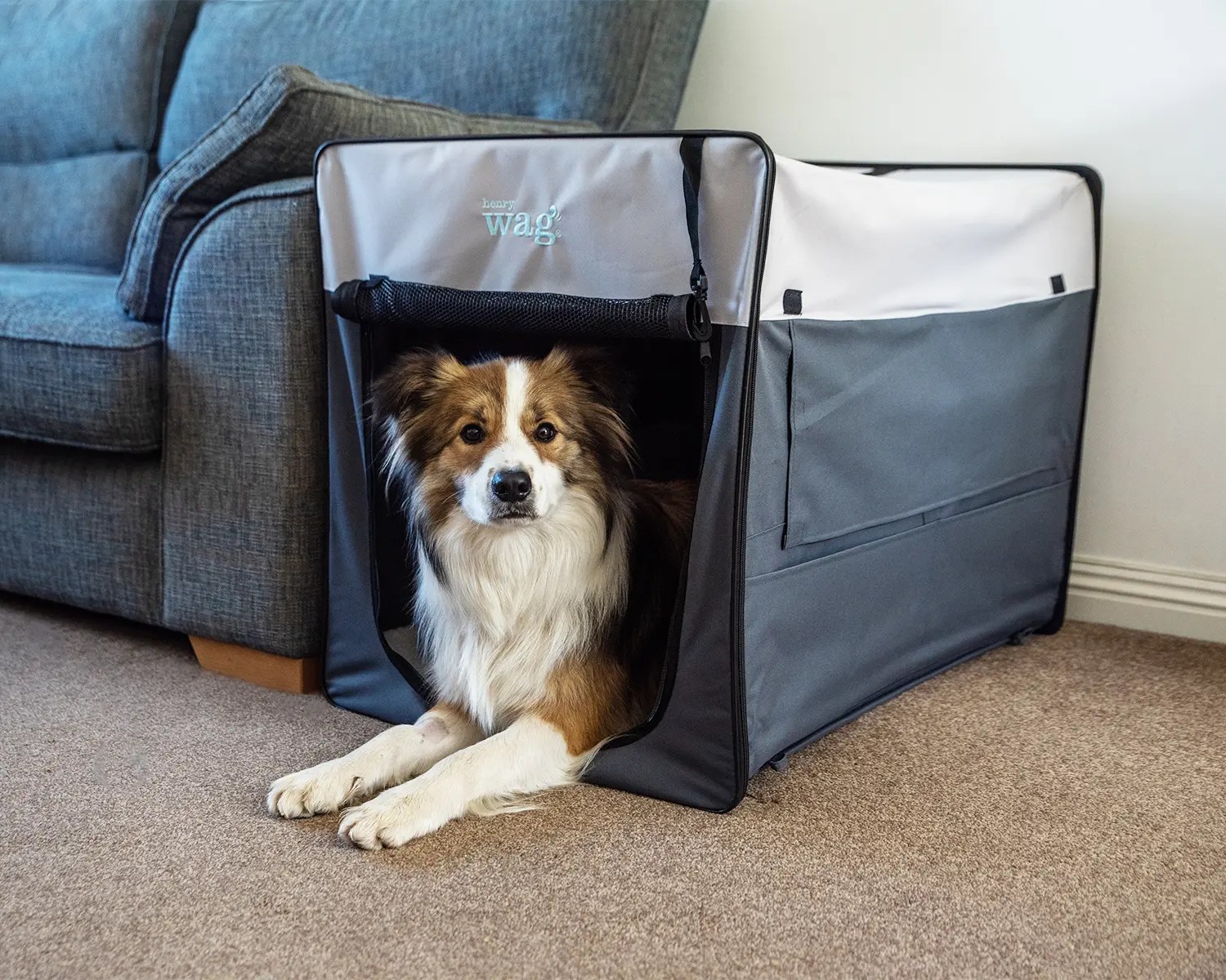 Choosing the Right Dog Crate or Pen Henry Wag