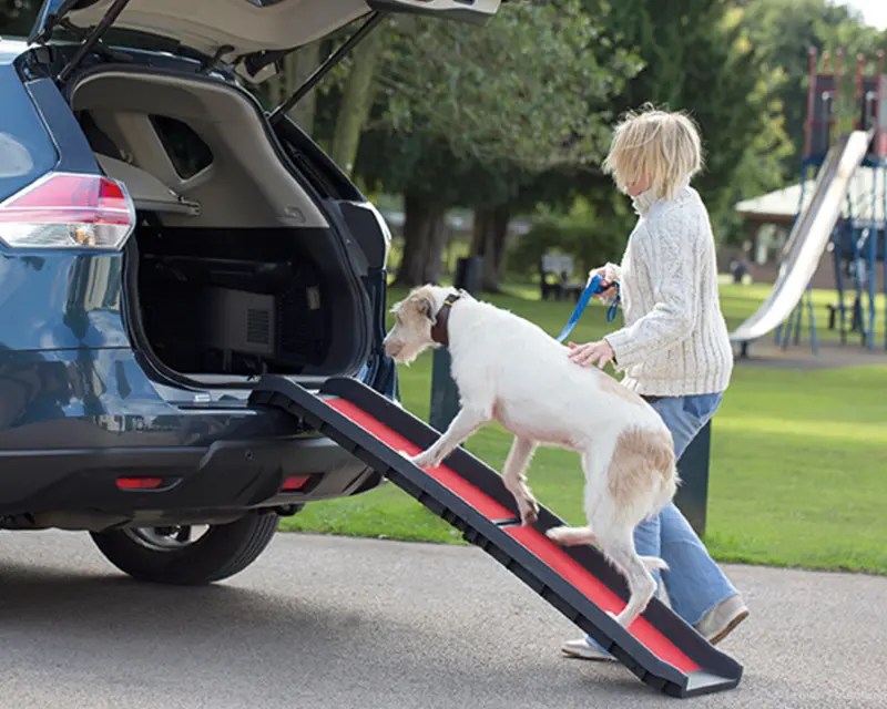 Henry Wag Folding Fabric Travel Crate Henry Wag