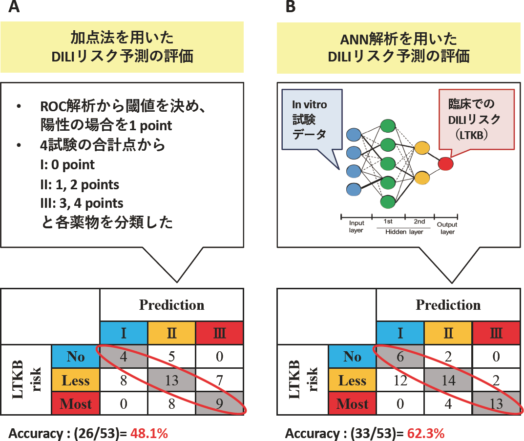 肝細胞研究会：薬物性肝障害誘発リスクの予測を可能とするin vitro評価系の構築
