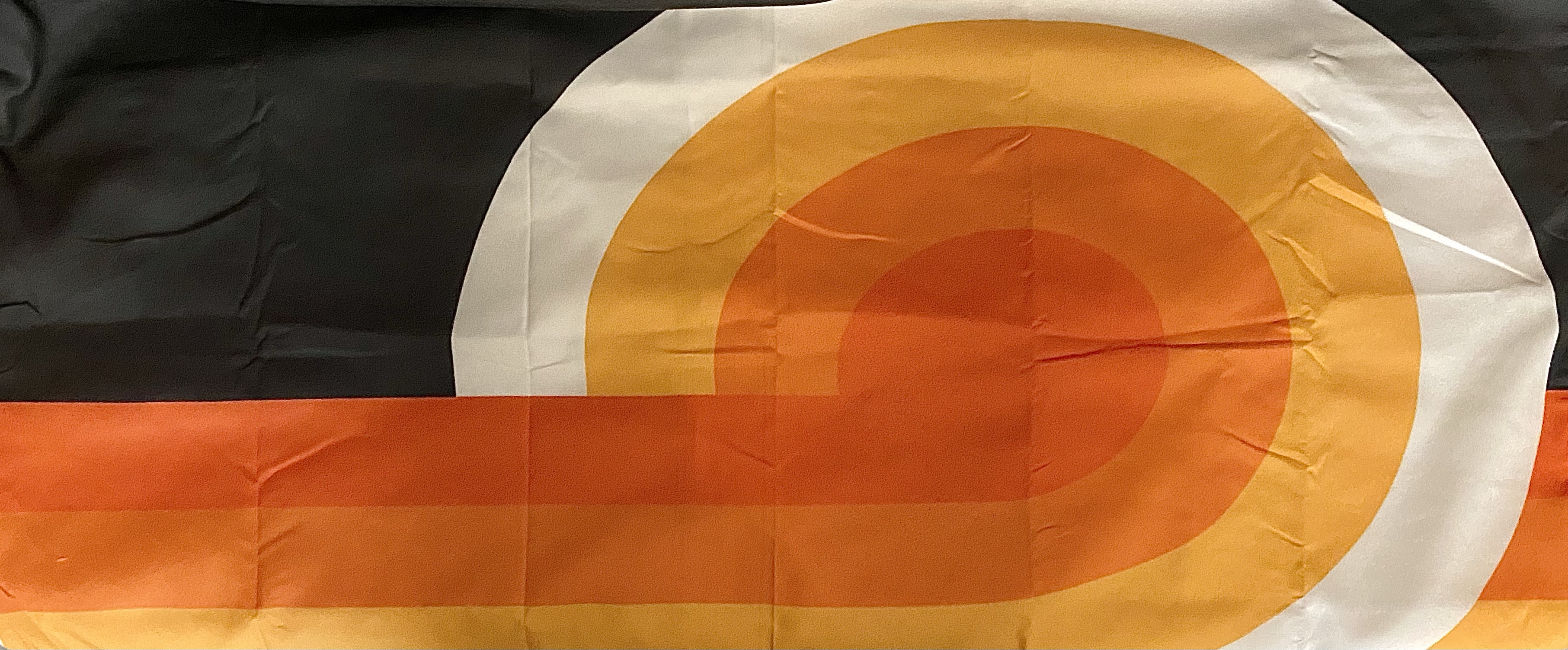 Supergraphic Project Hepcats Haven