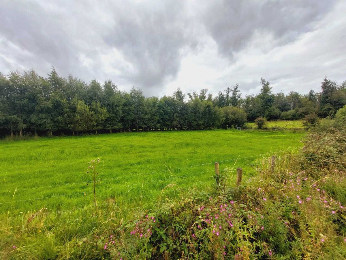 Ardfarna, Bundoran, Co. Donegal DARAGH HERAGHTY AUCTIONEERS