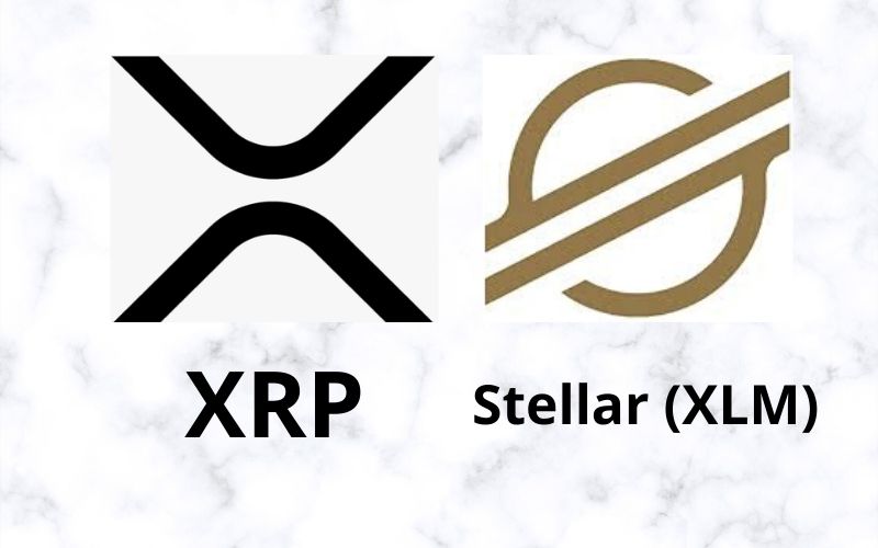 Why XRP and Stellar (XLM) are Not Included in Creek’s Digital Asset Fund Explained