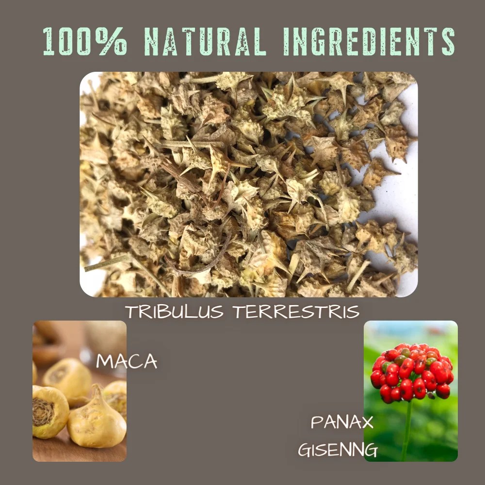 Tribulus Herbal Avray