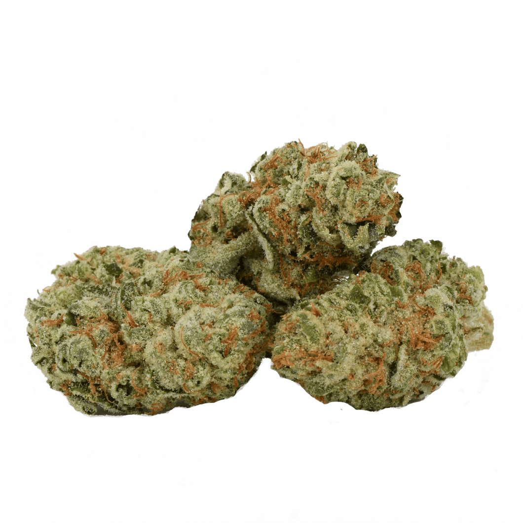 Middelburg Hybrid Herbal Dispatch