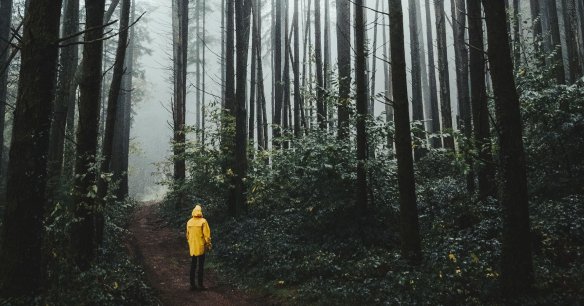 Map Your Herbal Path Herbal Entrepreneur