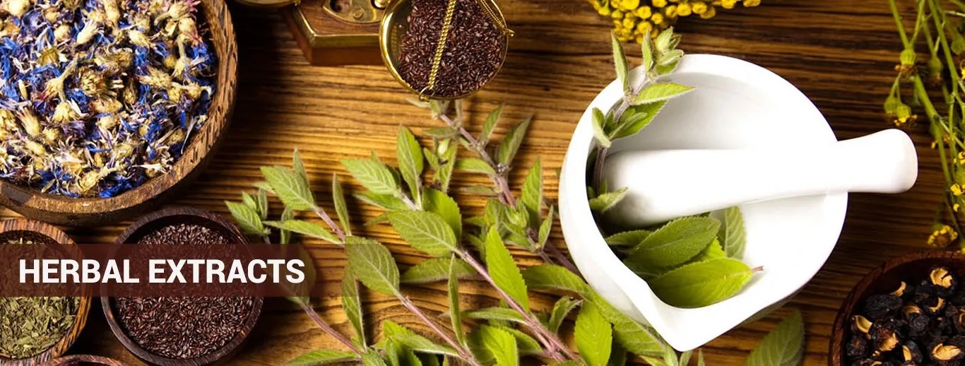 Herbal Extracts Manufacturer, Supplier & Exporter in India Phyto Chemical
