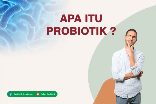 Apa Itu Probiotik Ikan Apa Itu Burayak atau Burayak Ikan Cupang