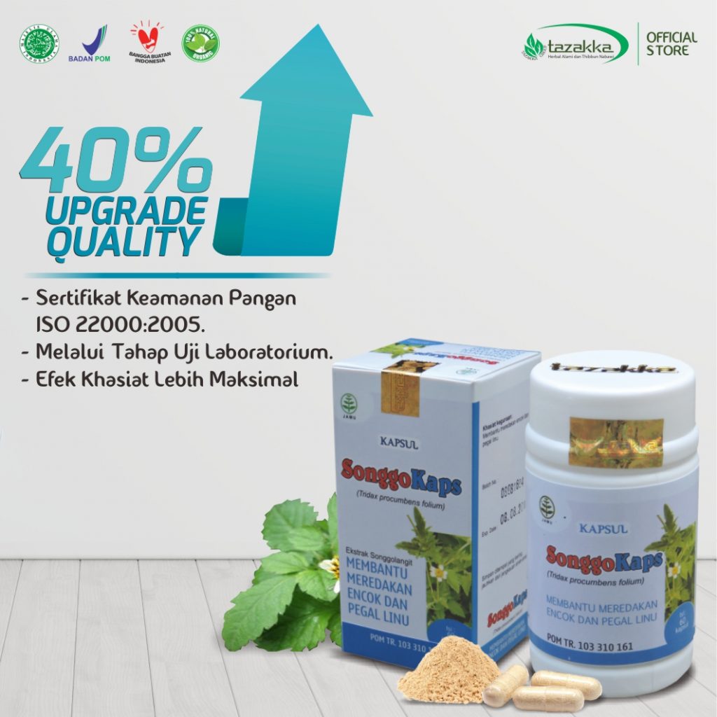 Jual Obat Asam Urat Kapsul Songgo Langit Songgokaps Herbal Tazakka
