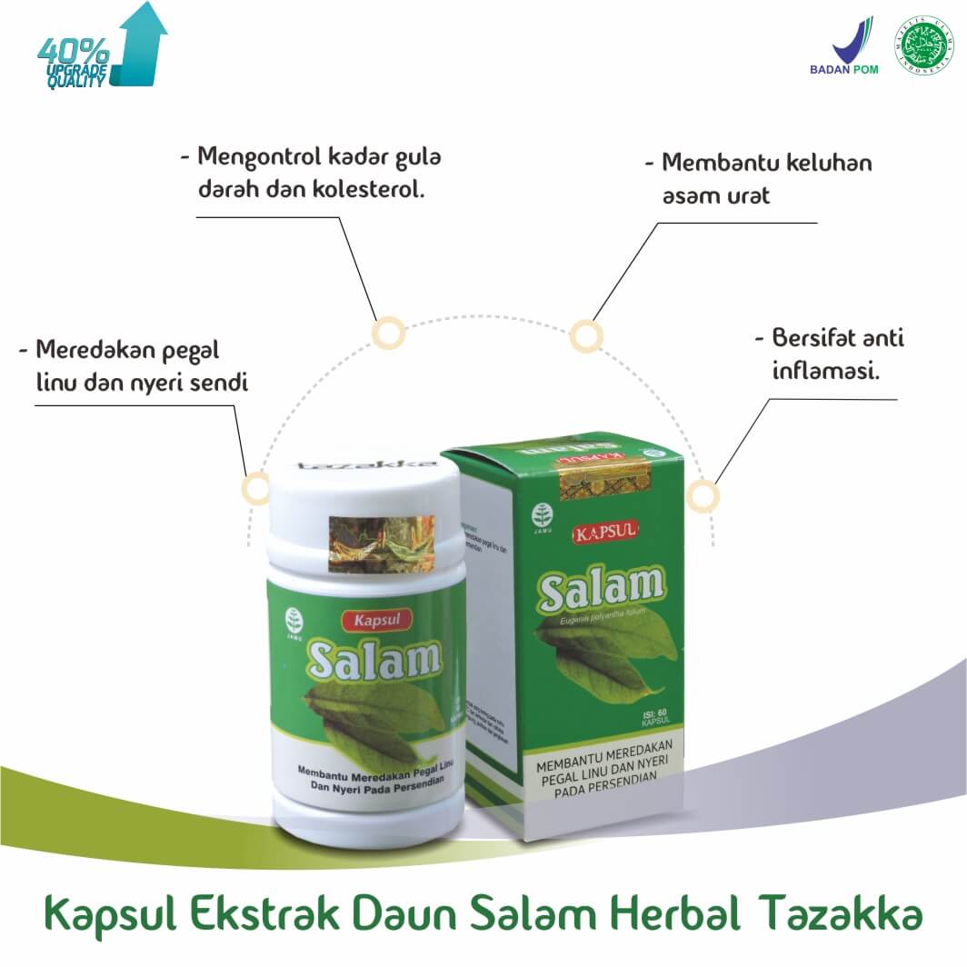 Jual Kapsul Daun Salam Obat Nyeri Sendi Asam Urat Herbal Tazakka Ori