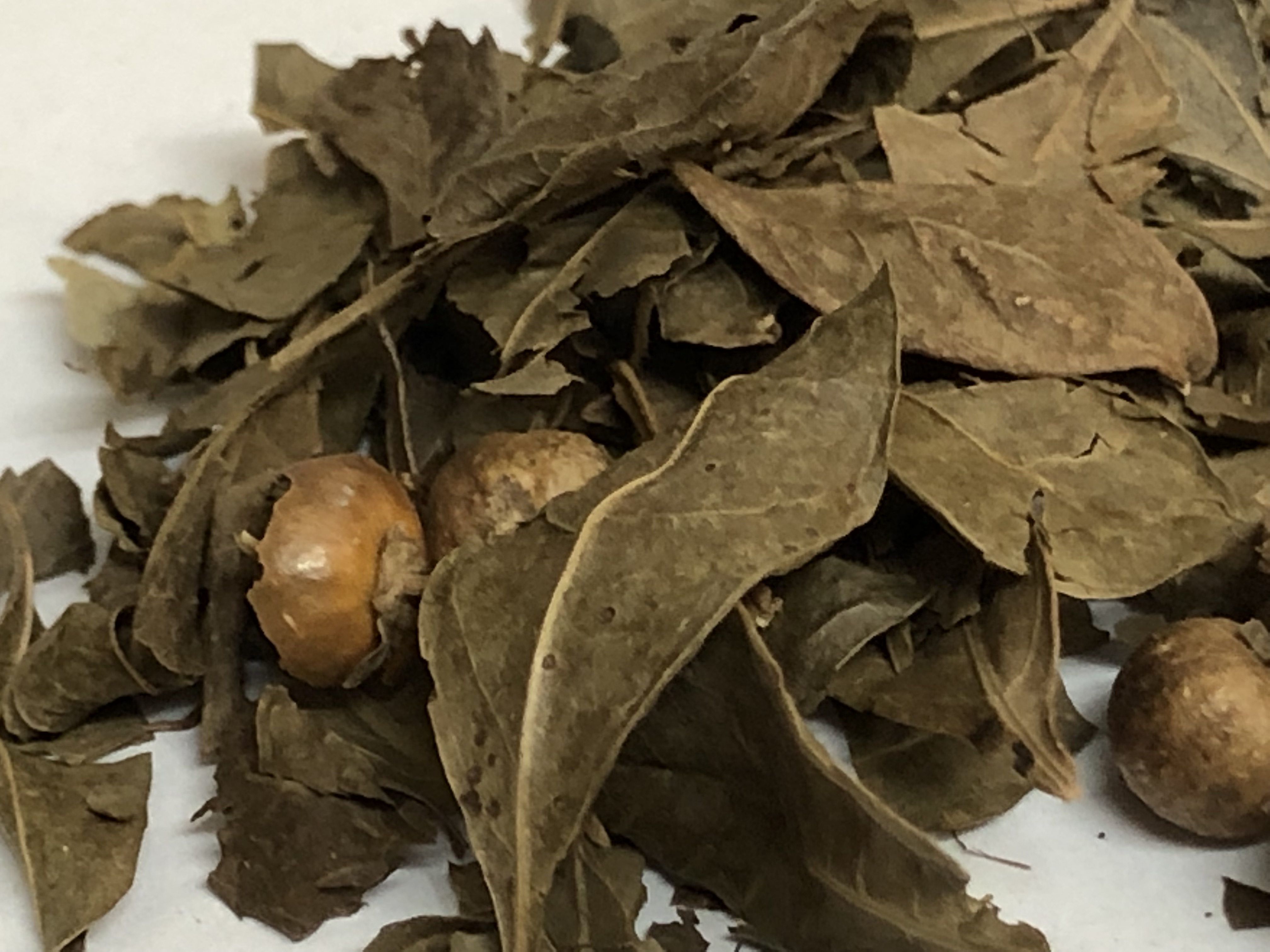 Henna Leaves Dried Lawsonia inermis Mehandi Patta Premium Grade HERBALVEDA