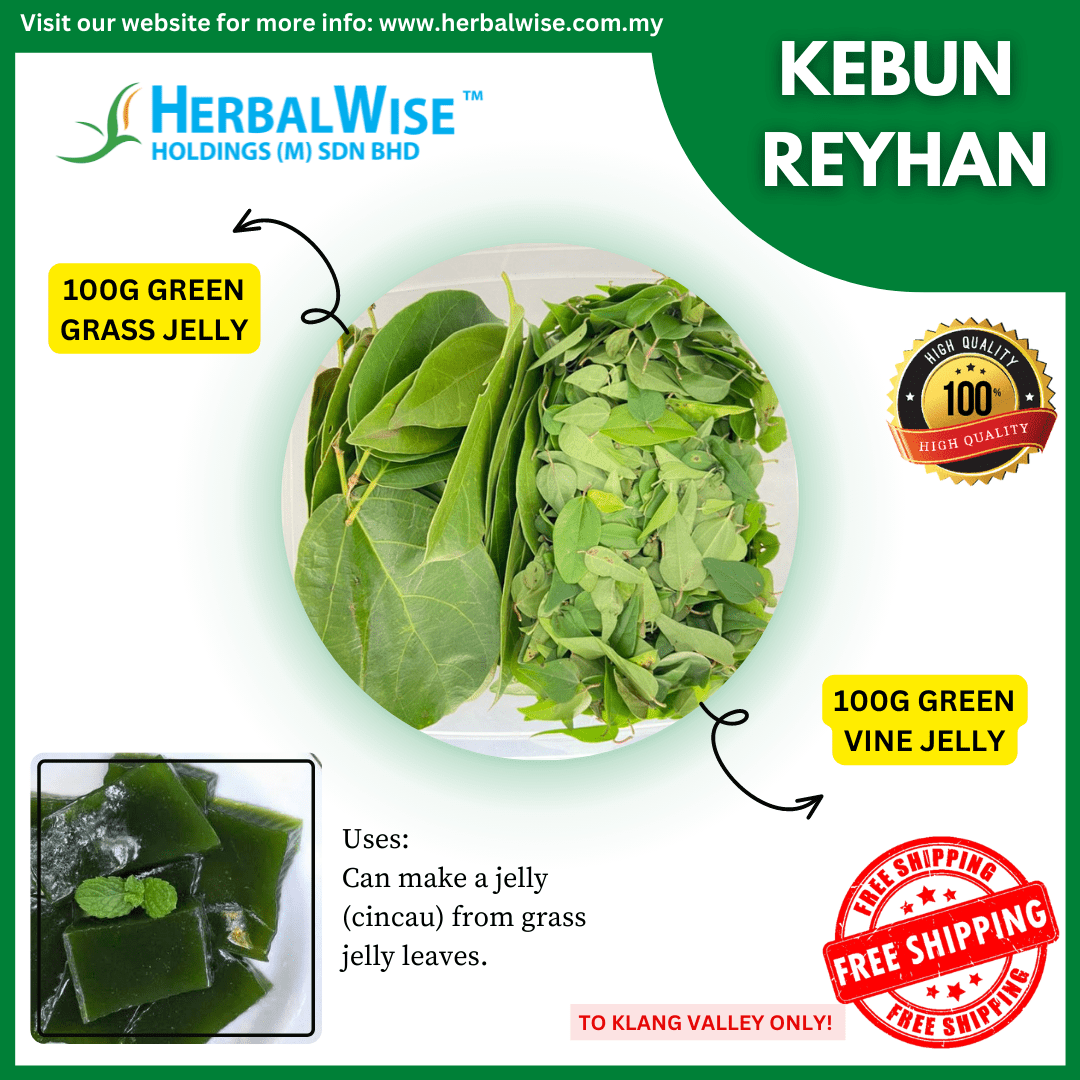 50G GREEN GRASS JELLY & GREEN VINE JELLY LEAVES /50G DAUN CINCAU HIJAU