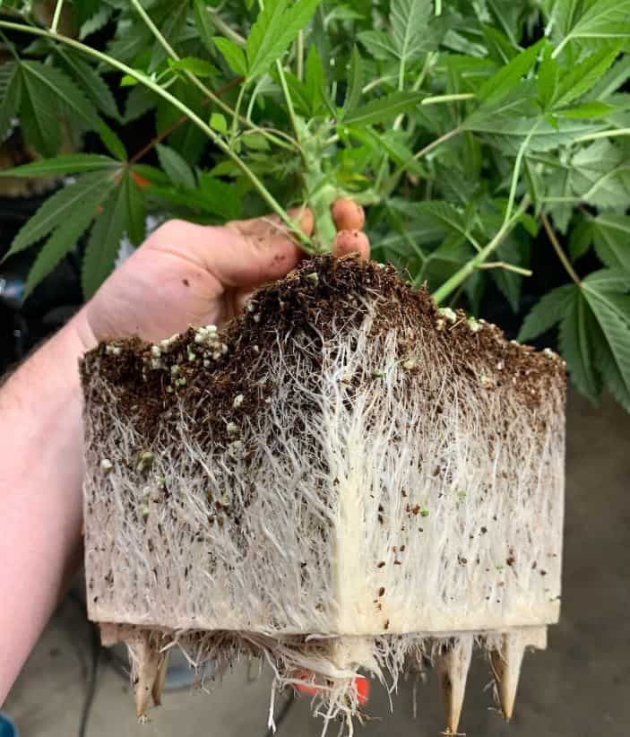 FloraFlex Organic Hydroponic Growing Solutions From Propagation To