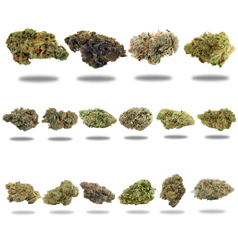 Sample Pack HerbDispatch