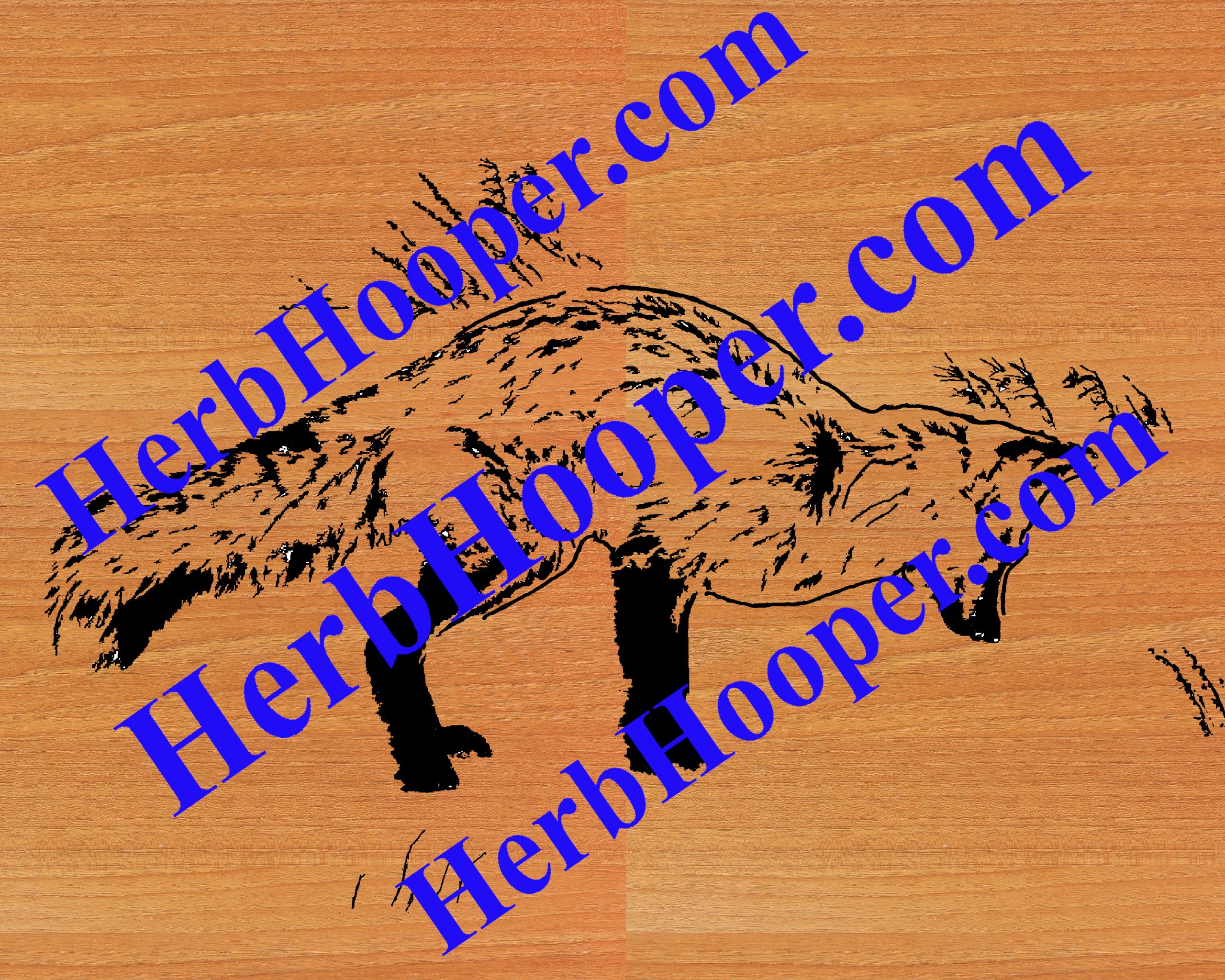 Fox Hunting 1 Pattern Herb's Scrolling Station