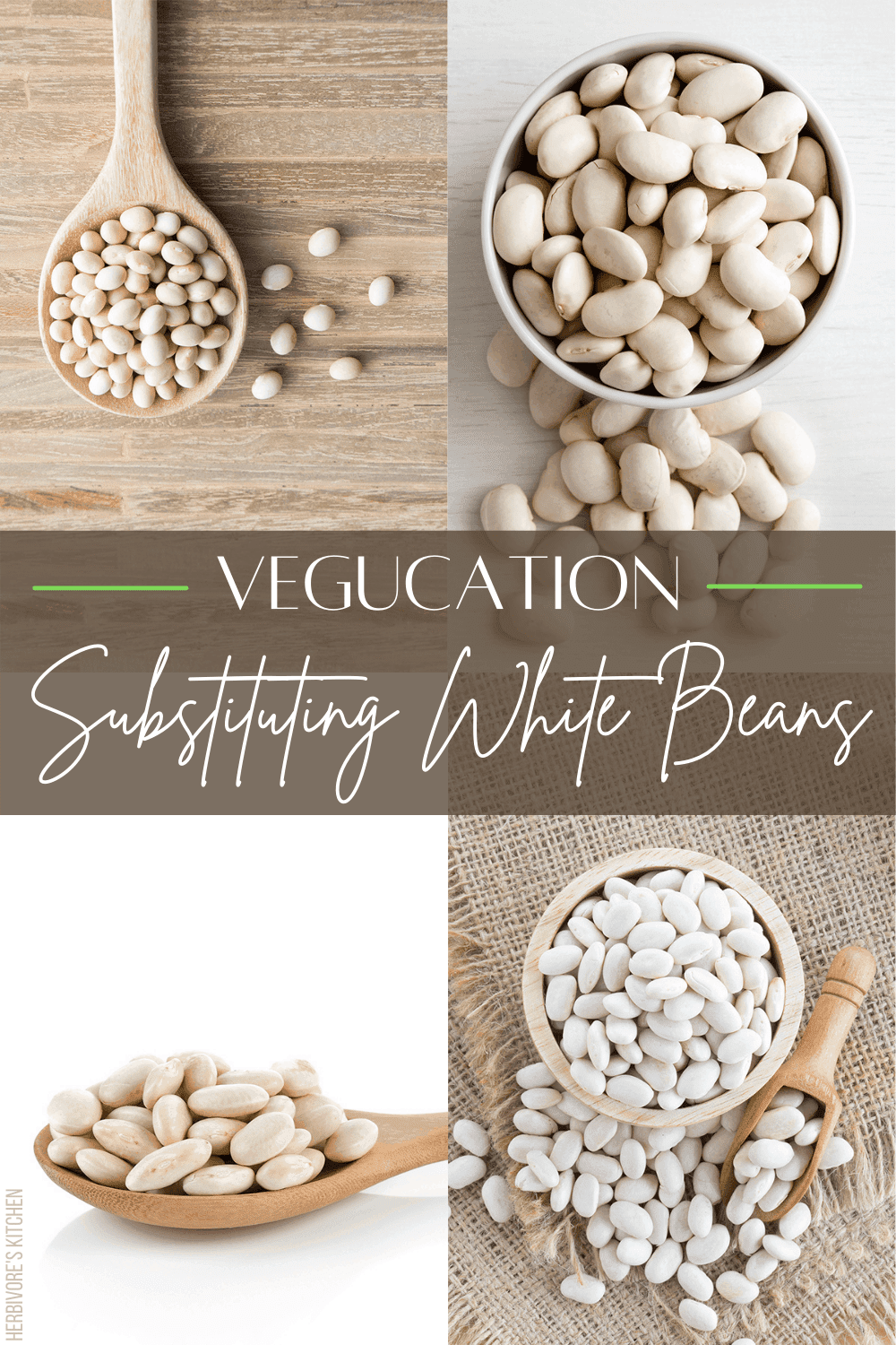 White Beans The Ultimate Guide