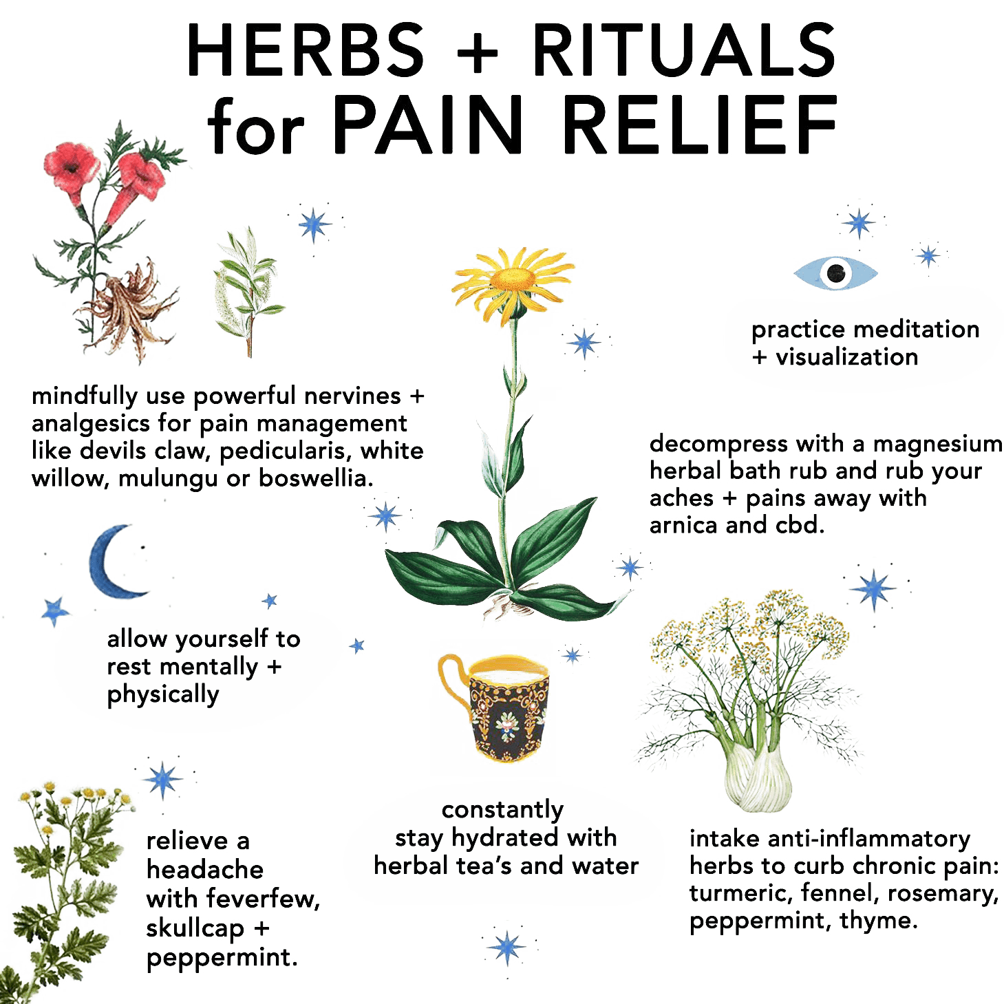 Natural Pain Relievers herbs