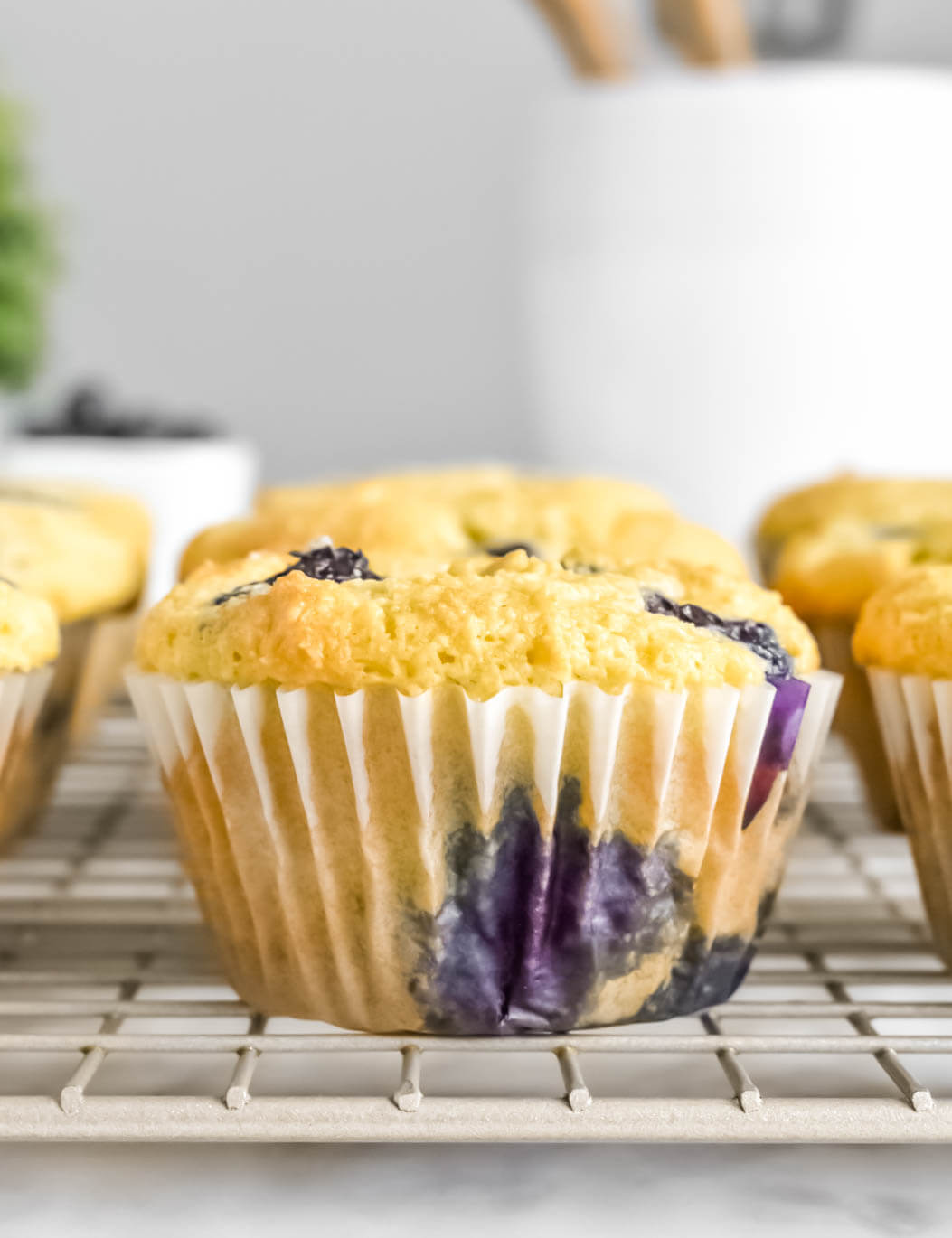 GlutenFree Keto Blueberry Muffins Herbs & Flour