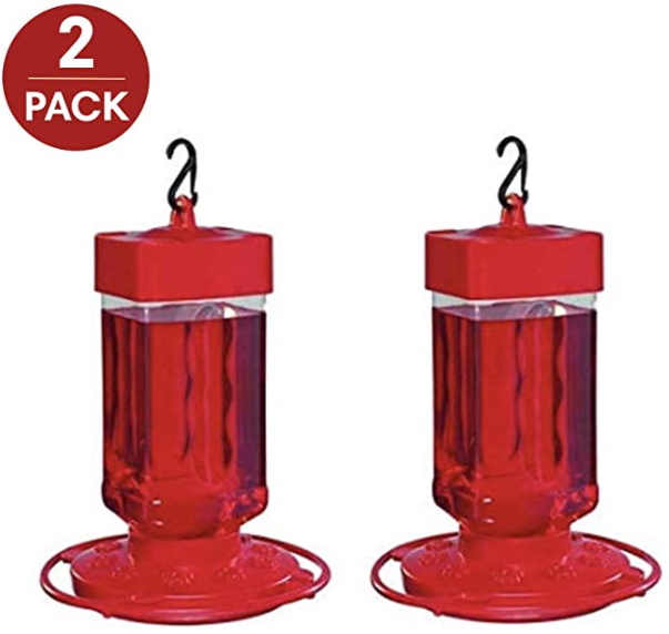 Best Hummingbird Feeder in 2021 (Attract More Birds)