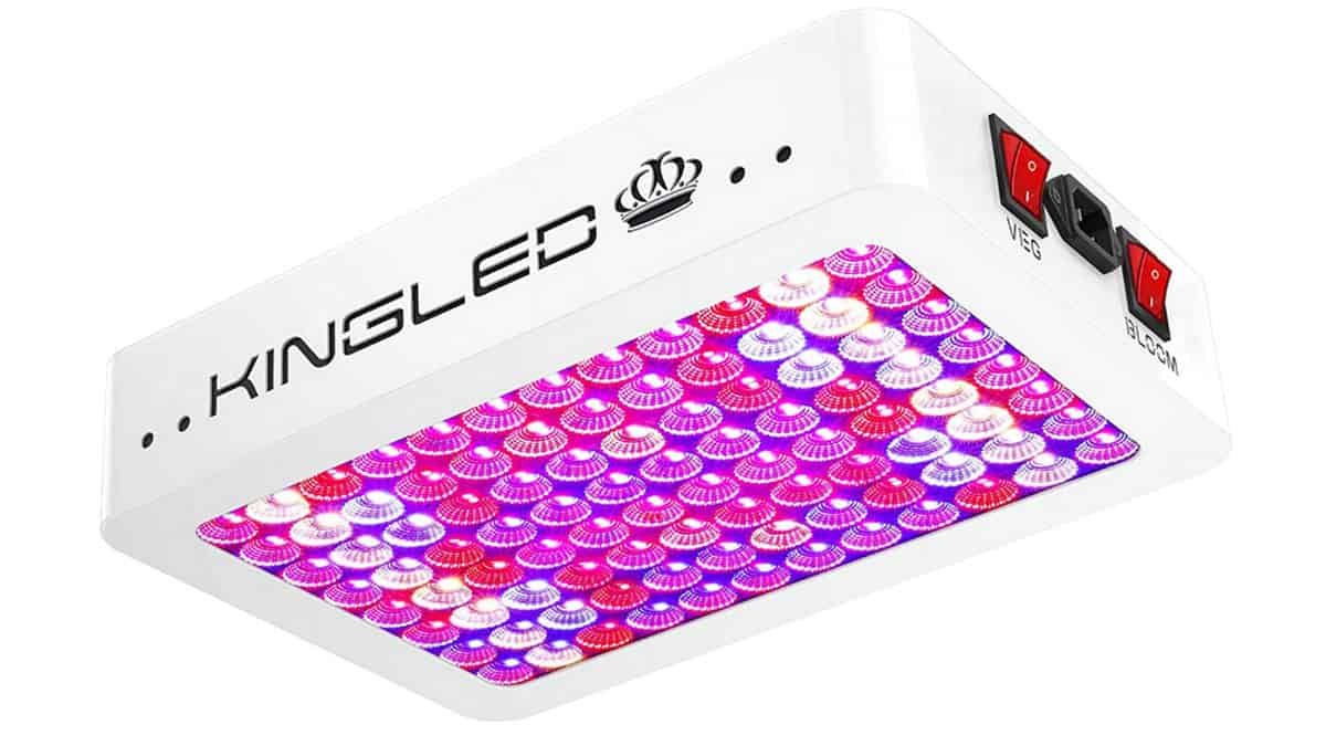 KingLED Grow Light Review [2024 Update] Herbs Within