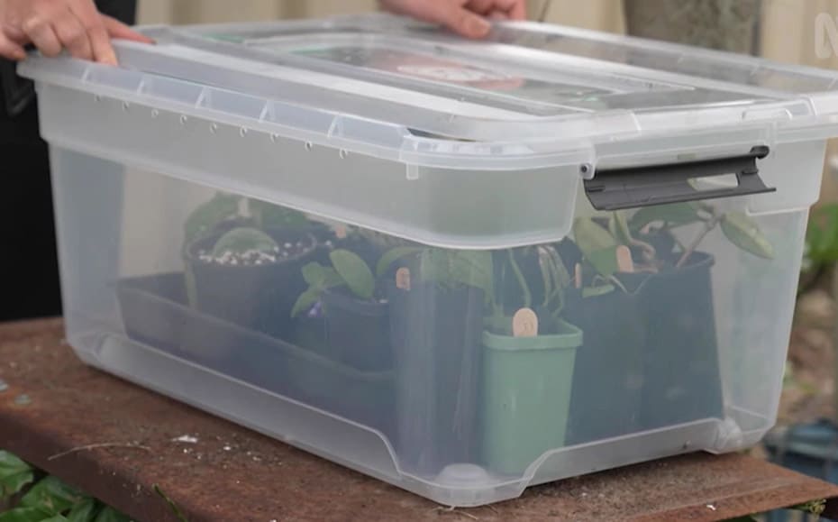 20 Mini Indoor Greenhouse Ideas For Any Time Of Year [Super Simple