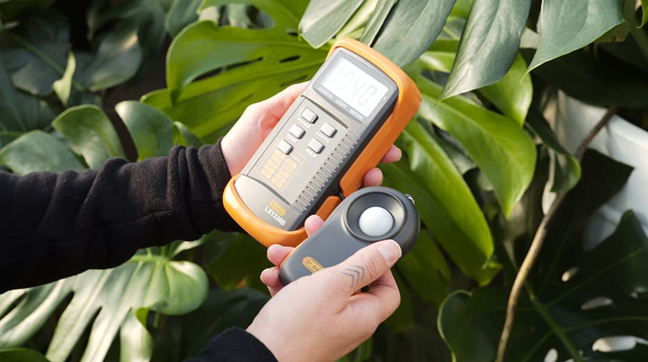 Light Meter For Plants [2024 List + Guide] Herbs Within