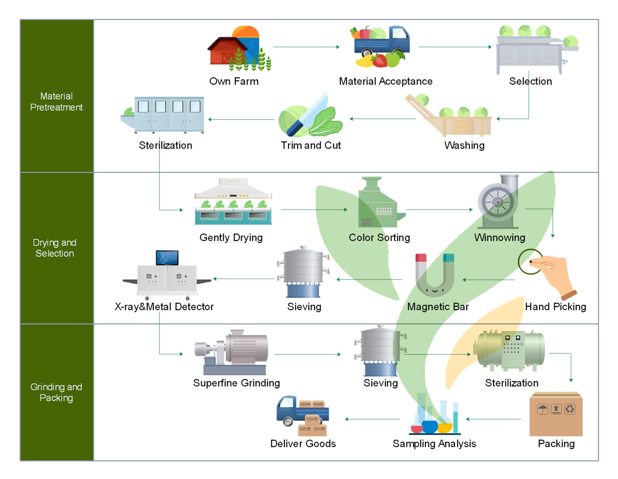 Fruit and Vegetable Powder herbtrue