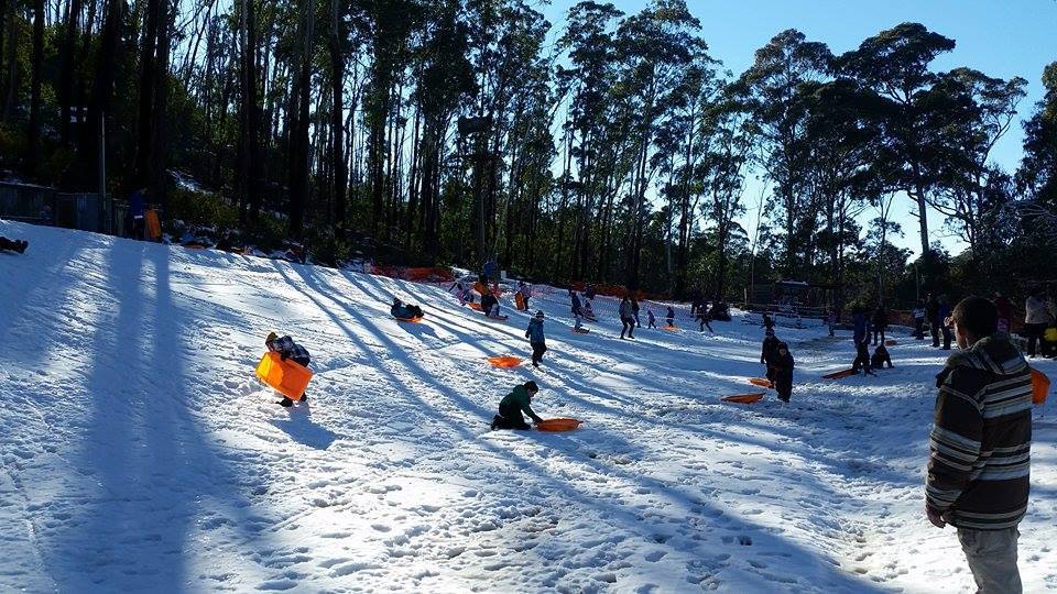 Corin Forest 'the snow' on Canberra's doorstep