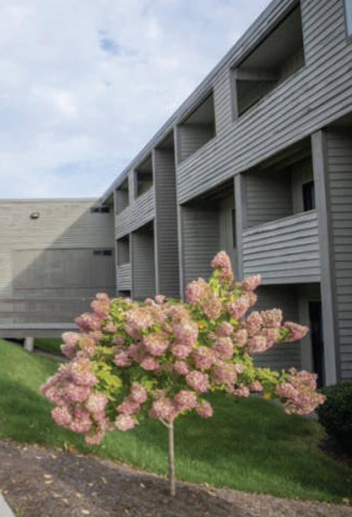 Testimonials Hercules