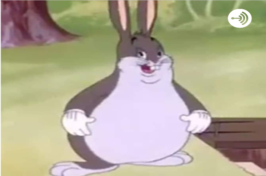 10 Bunny Memes that Will Make you Love Them Here Bunny