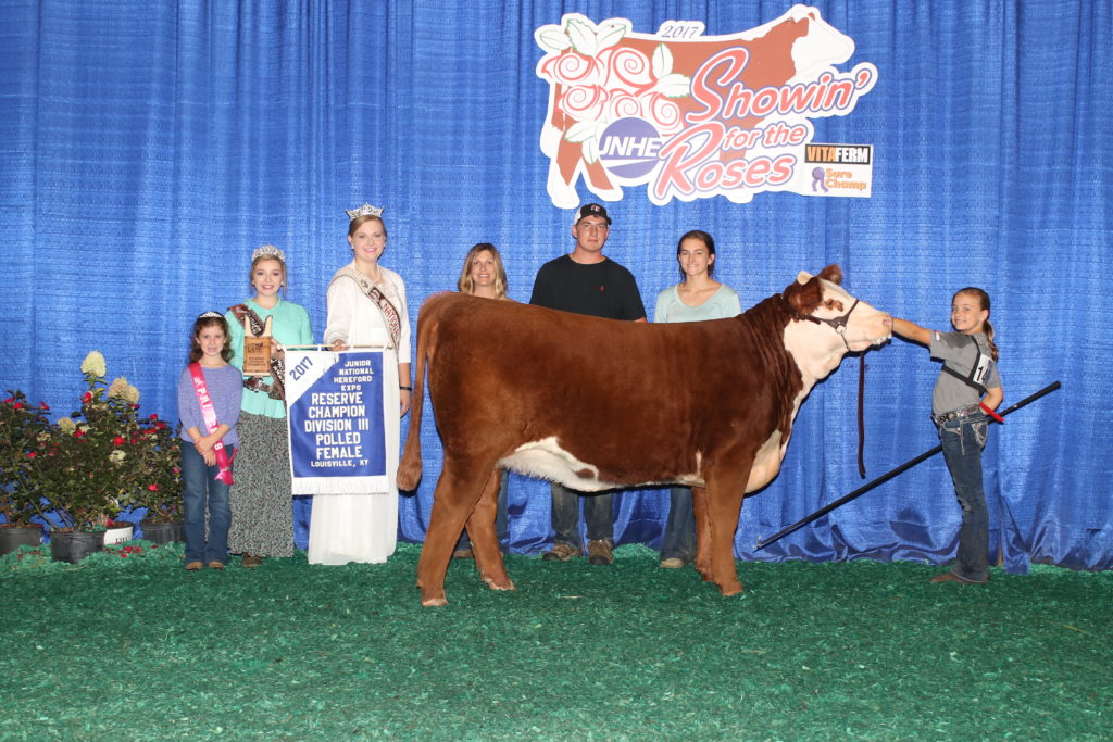 American Hereford JNHE Owned Heifer Show Results American Hereford