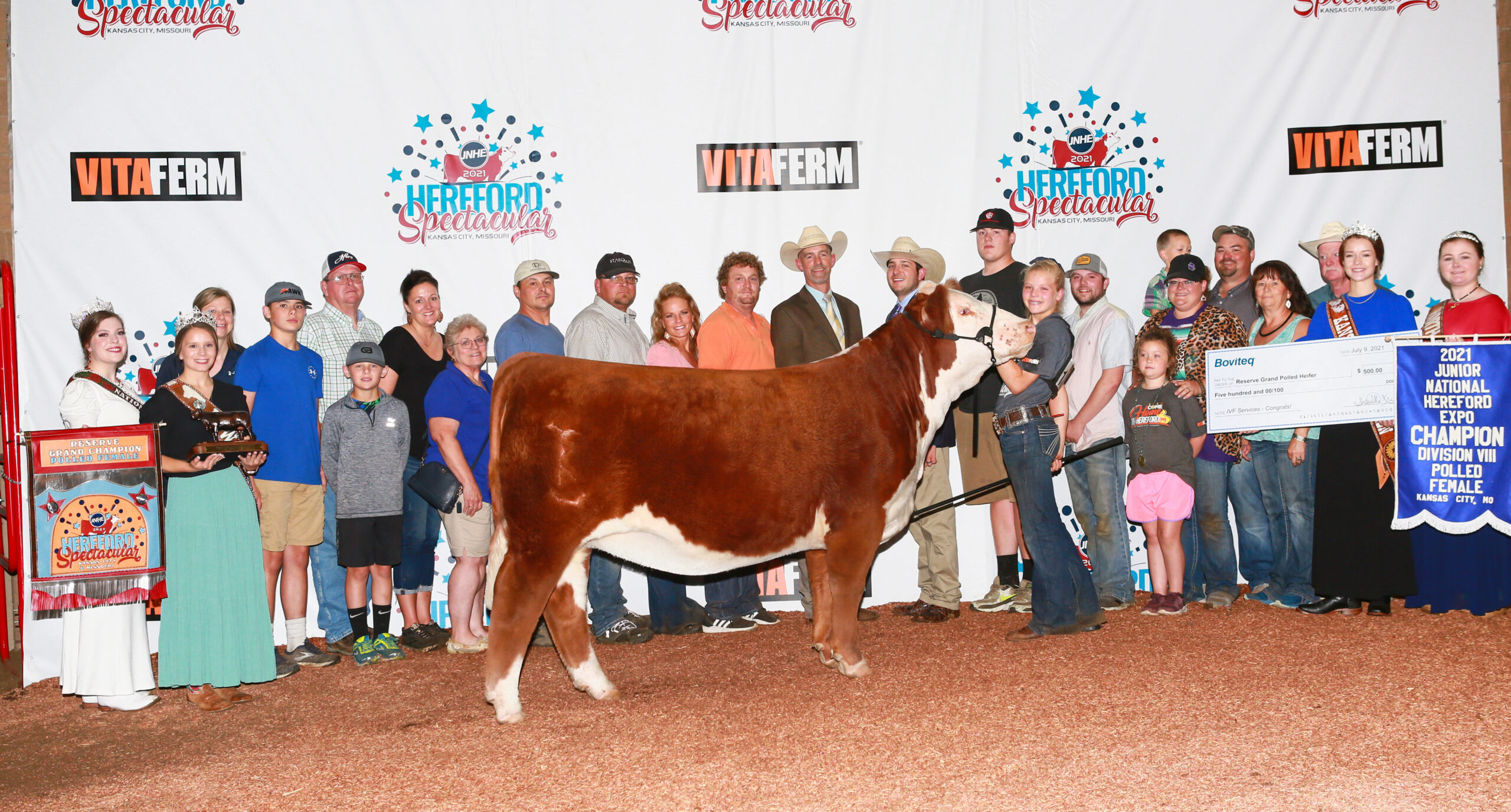 Vccp 2023 Hereford Heifer Show Results American Hereford | Results - American Hereford Association