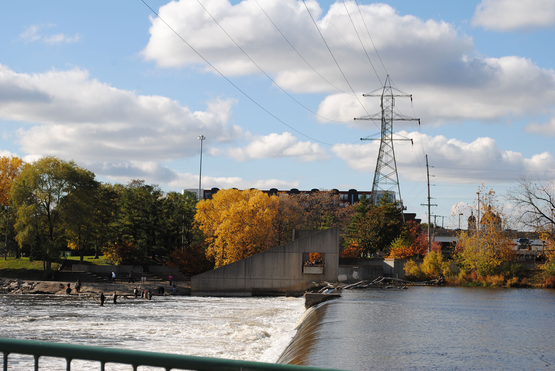 Watch fish climb a ladder in Grand Rapids Michigan Wildlife Council