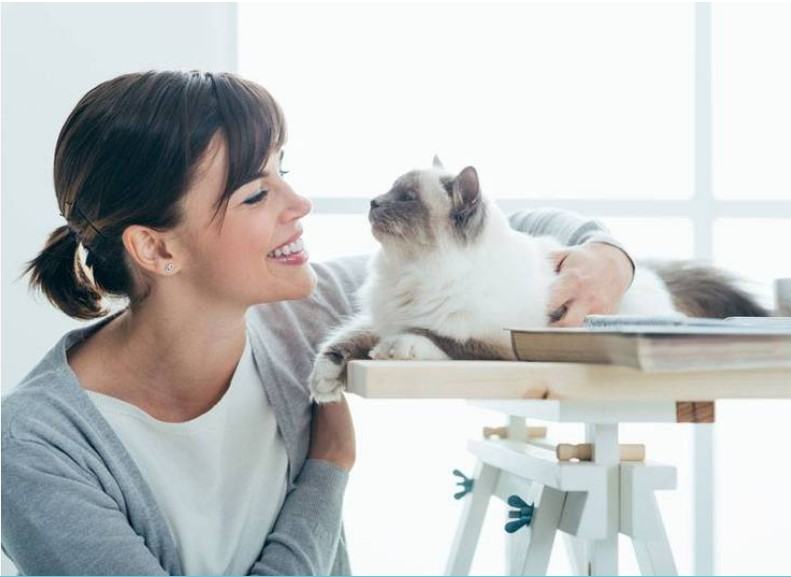 Pretty Litter Reviews A Good Way To Know About Your Cat’s Health