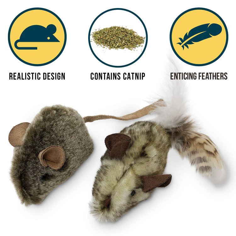 Ten Best Chew Toys For Cats Benefits Of Cat Chew Toys