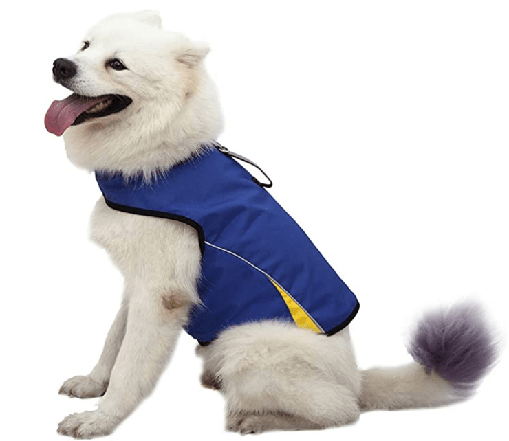 Dog Anxiety Vest Reviews Complete Buyer Guide, Top Picks, & More Herepup