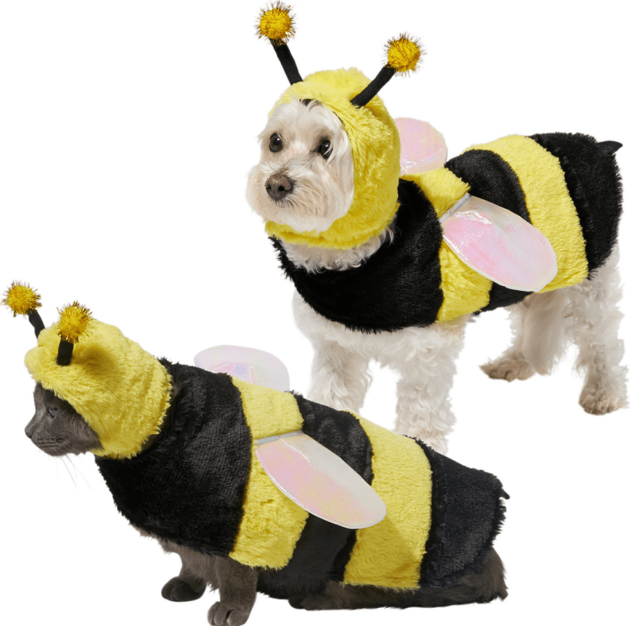 DIY Halloween Costumes for Dogs (+ Alternatives You Can Buy!) Herepup