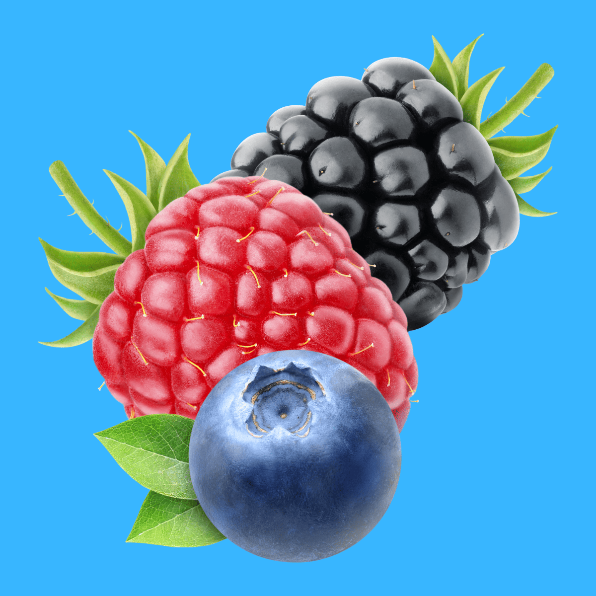 35 Funny Berry Puns Here's a Joke