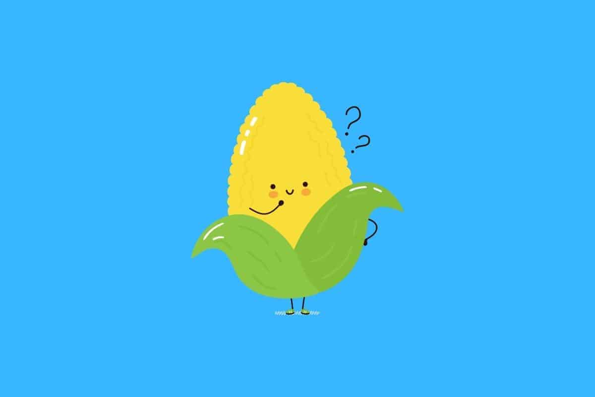 100 Funny Corn Puns Here's a Joke