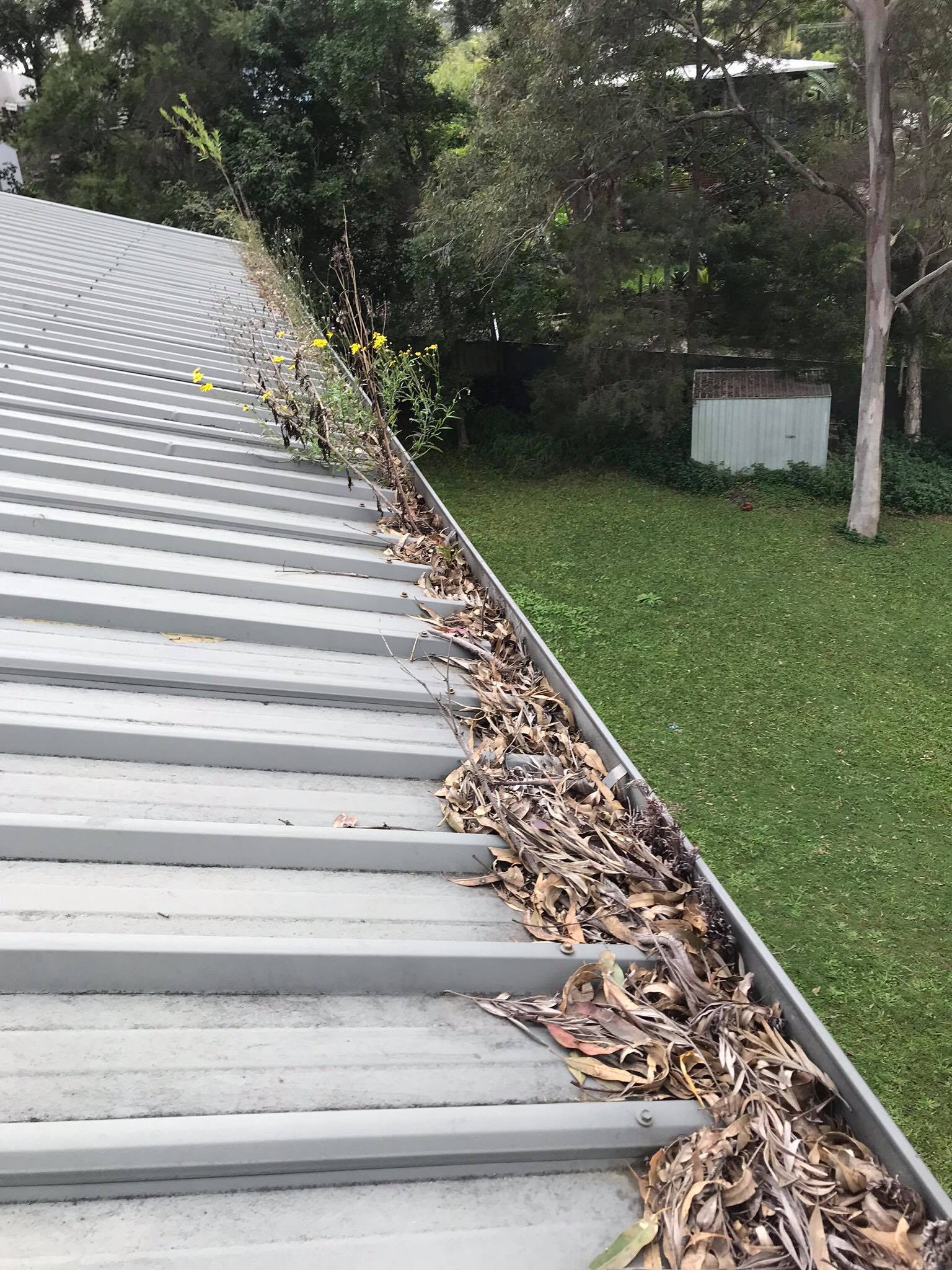 Gold Coast Gutter Cleaning Top Reviews Local Request Quote Online