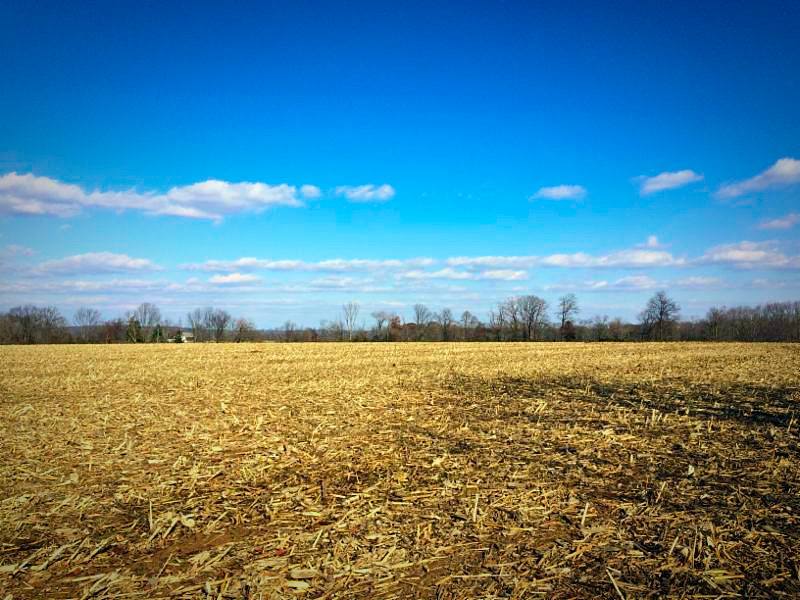 Preserved 62acre Gorski Farm in Wrightstown Township Heritage