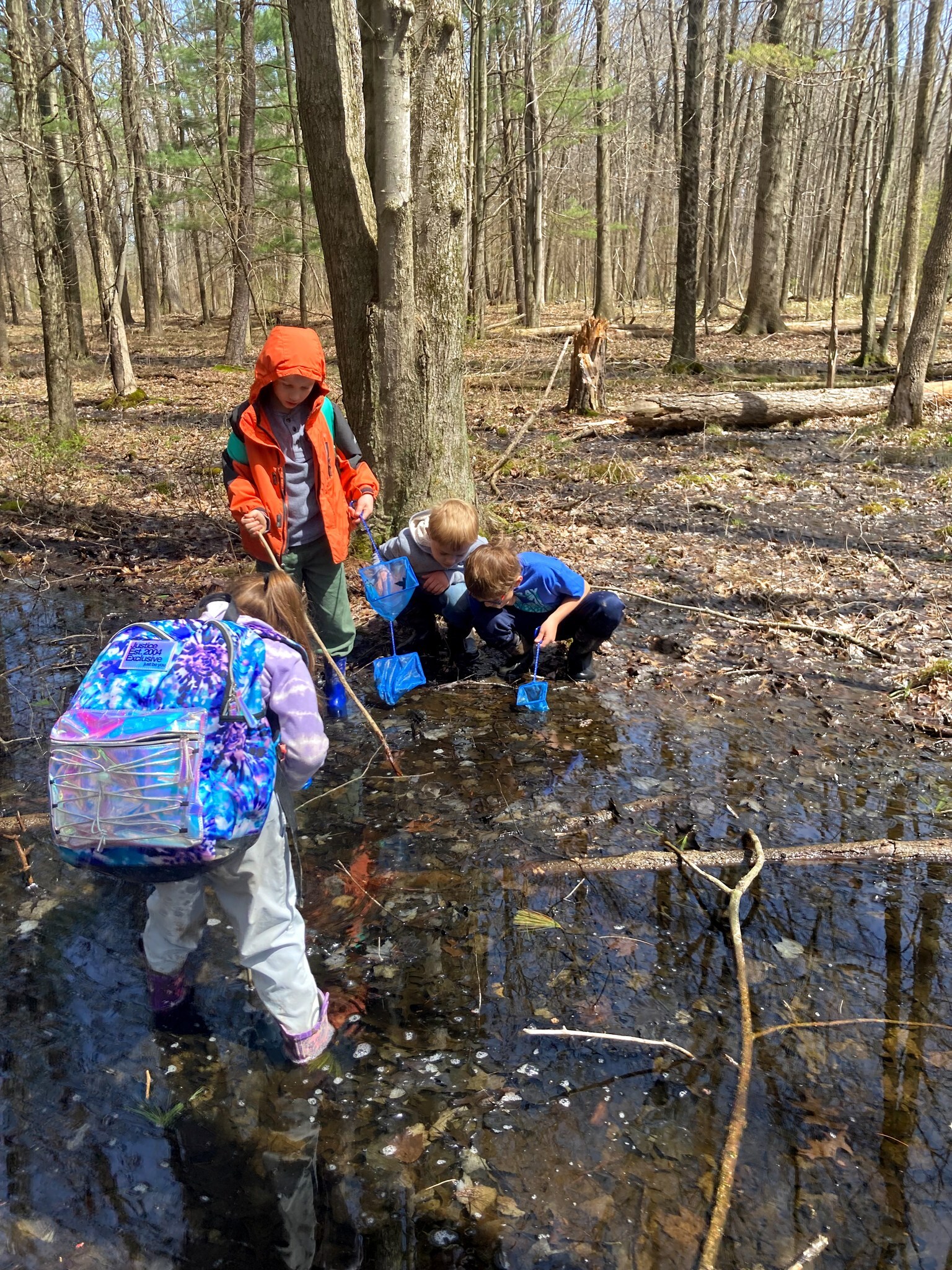Habitat Exploration at Quakertown Swamp Preserve Heritage Conservancy