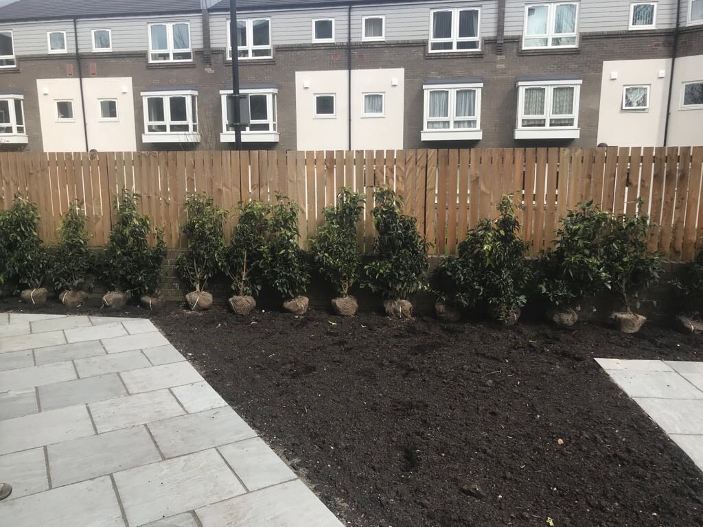 Barker House Newcastle University Barker House